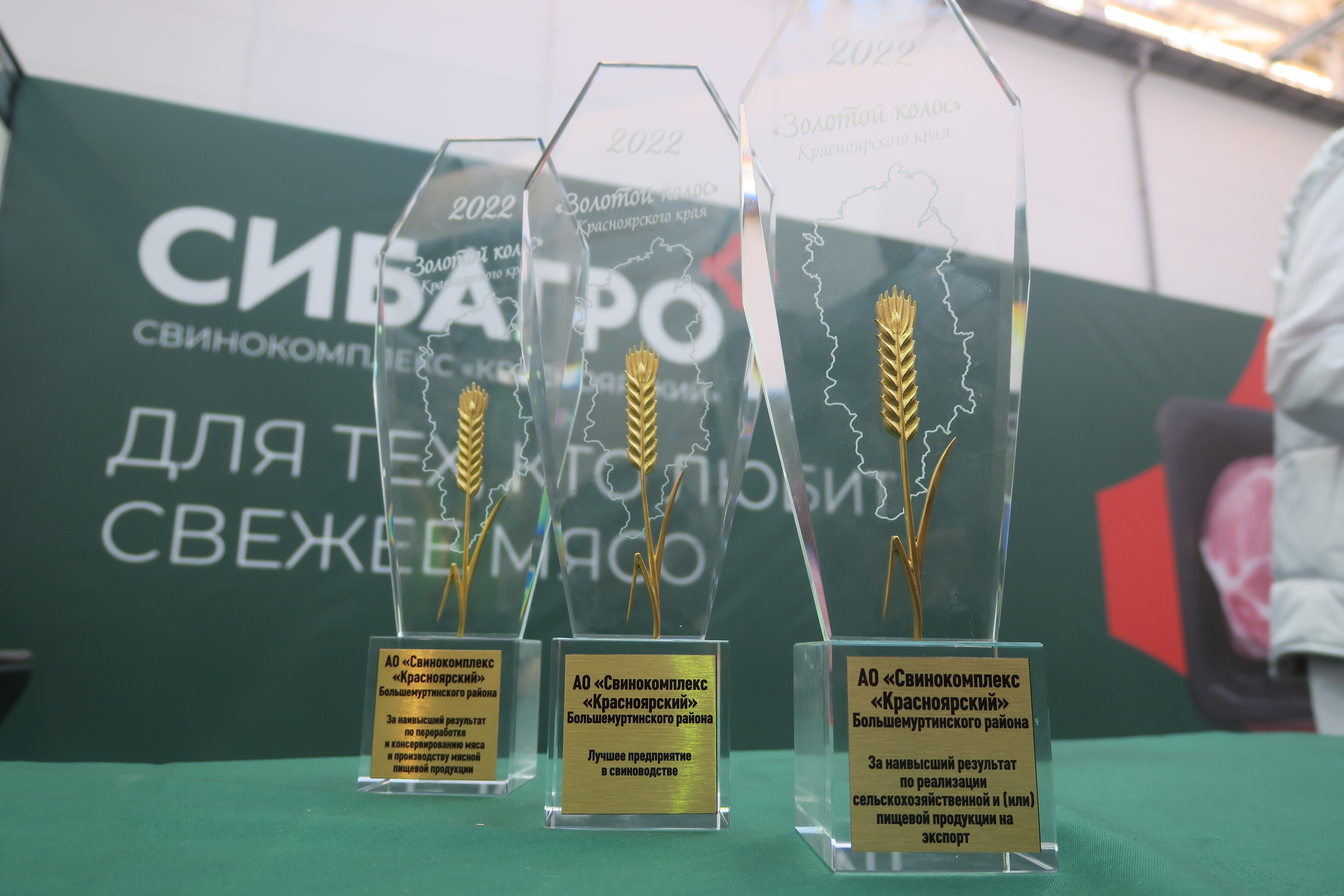 Красноярский свинокомплекс «Сибагро» — лучшее агропредприятие в регионе