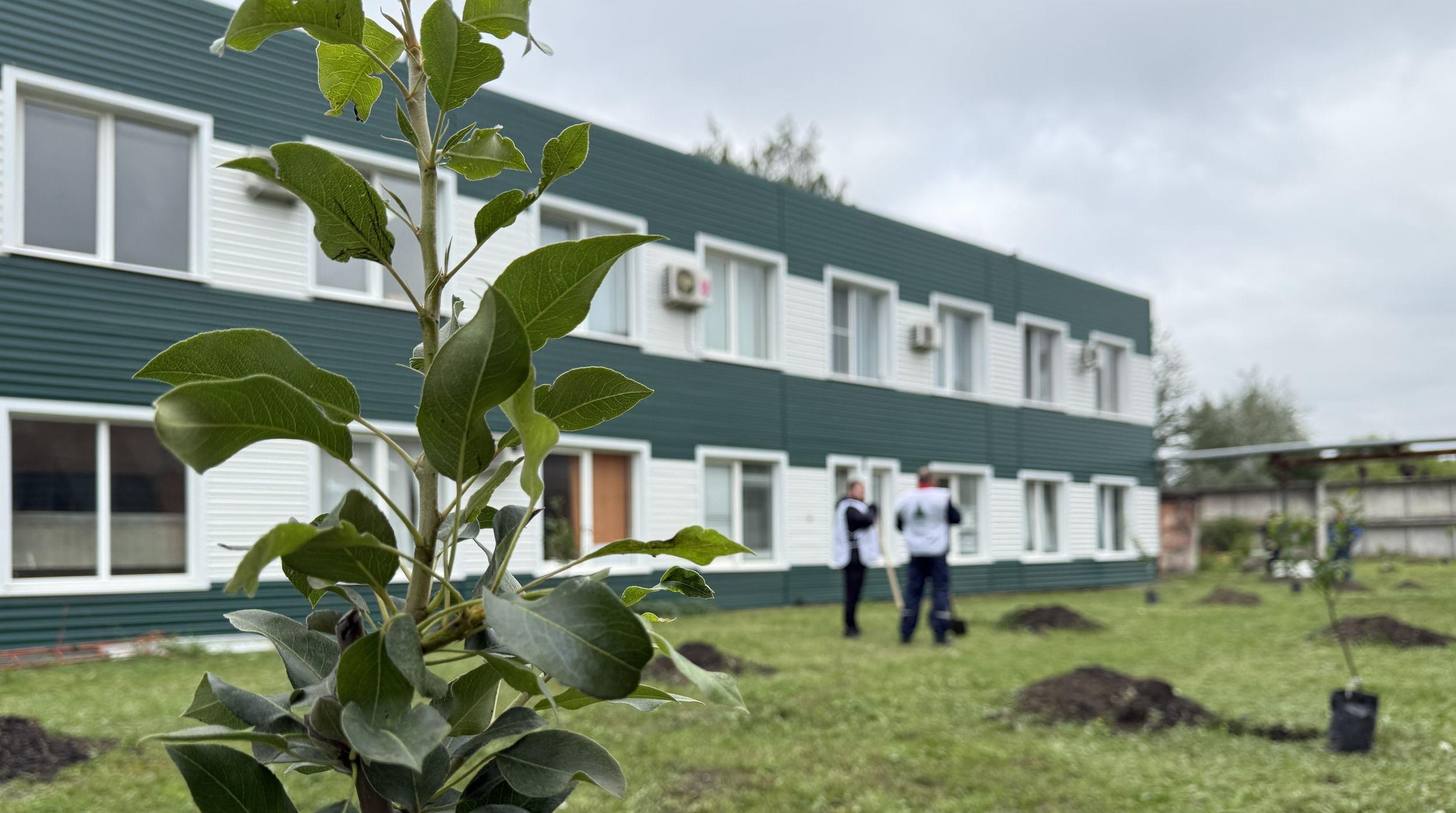 Саду — быть: сотрудники«Сибагро» в Старом Осколе высадили 100 плодовых деревьев 