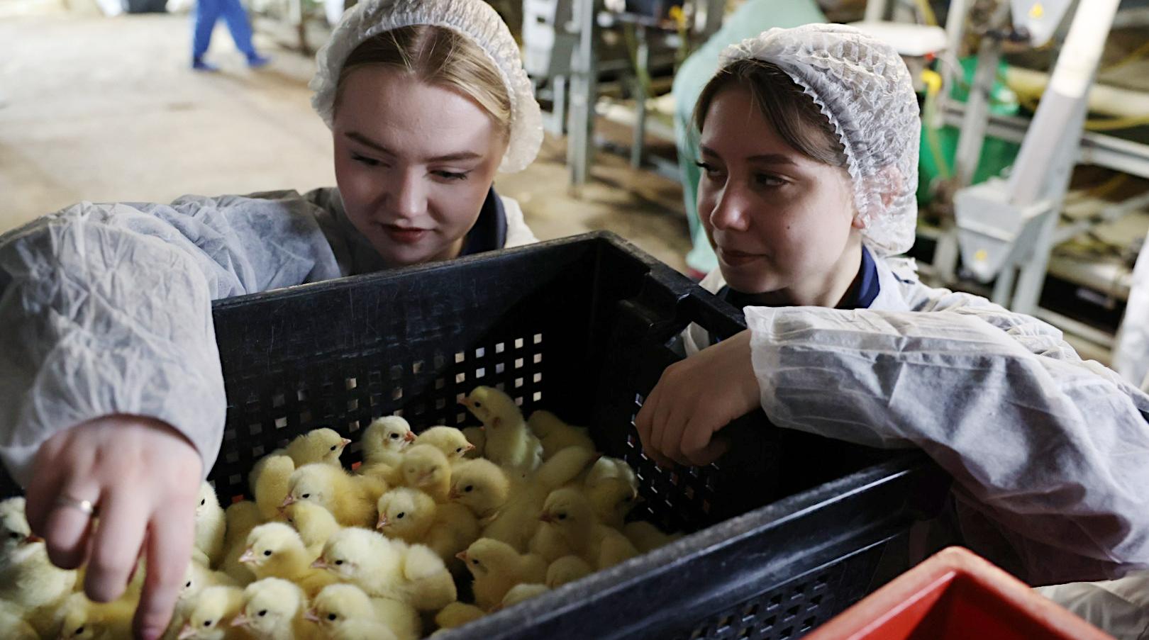 Практика вместо теории: первокурсники аграрного колледжа познакомились с «Сибагро»