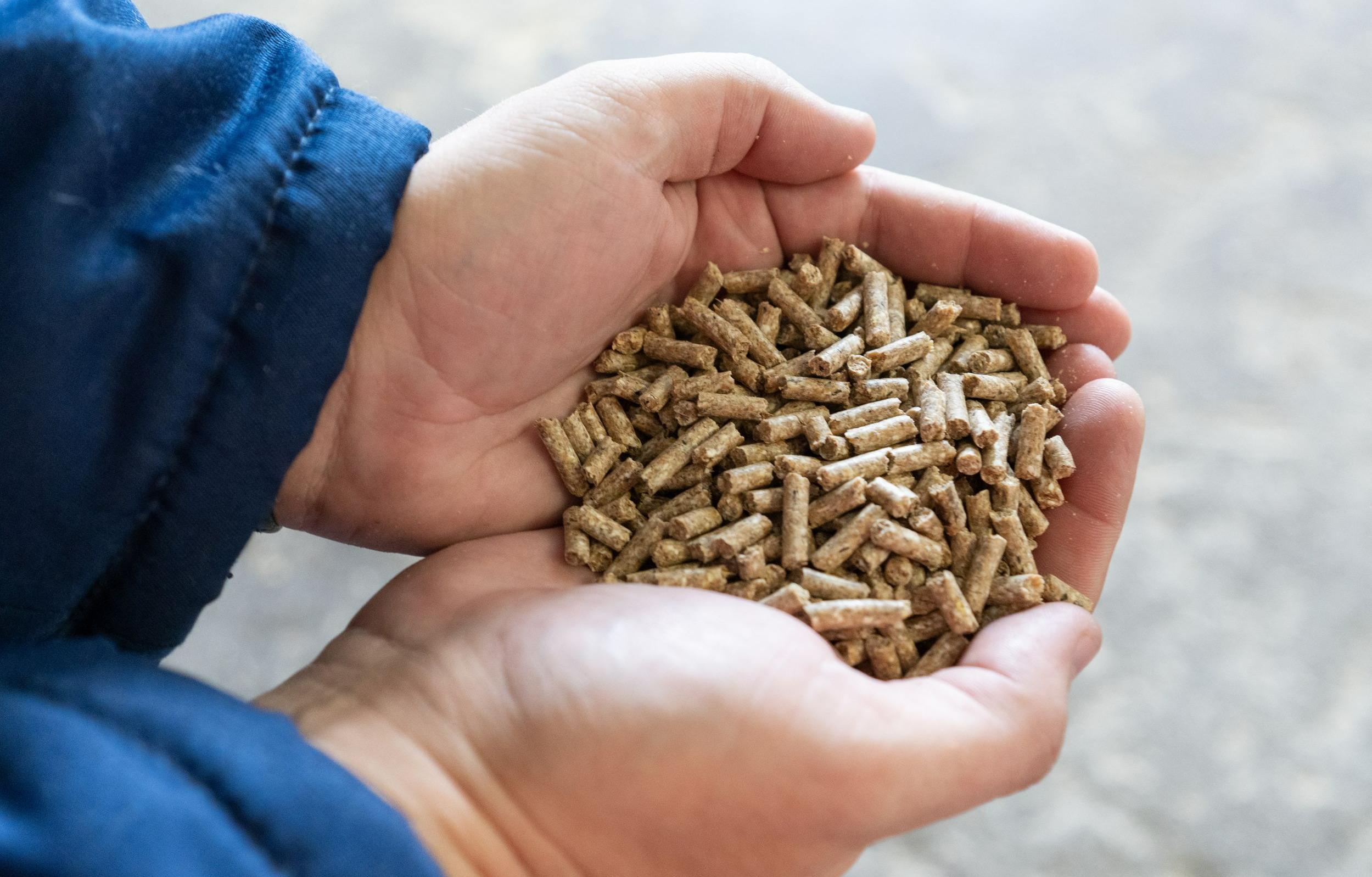 В Новосибирске «Сибагро» запускает производство фасованного комбикорма для розничной продажи