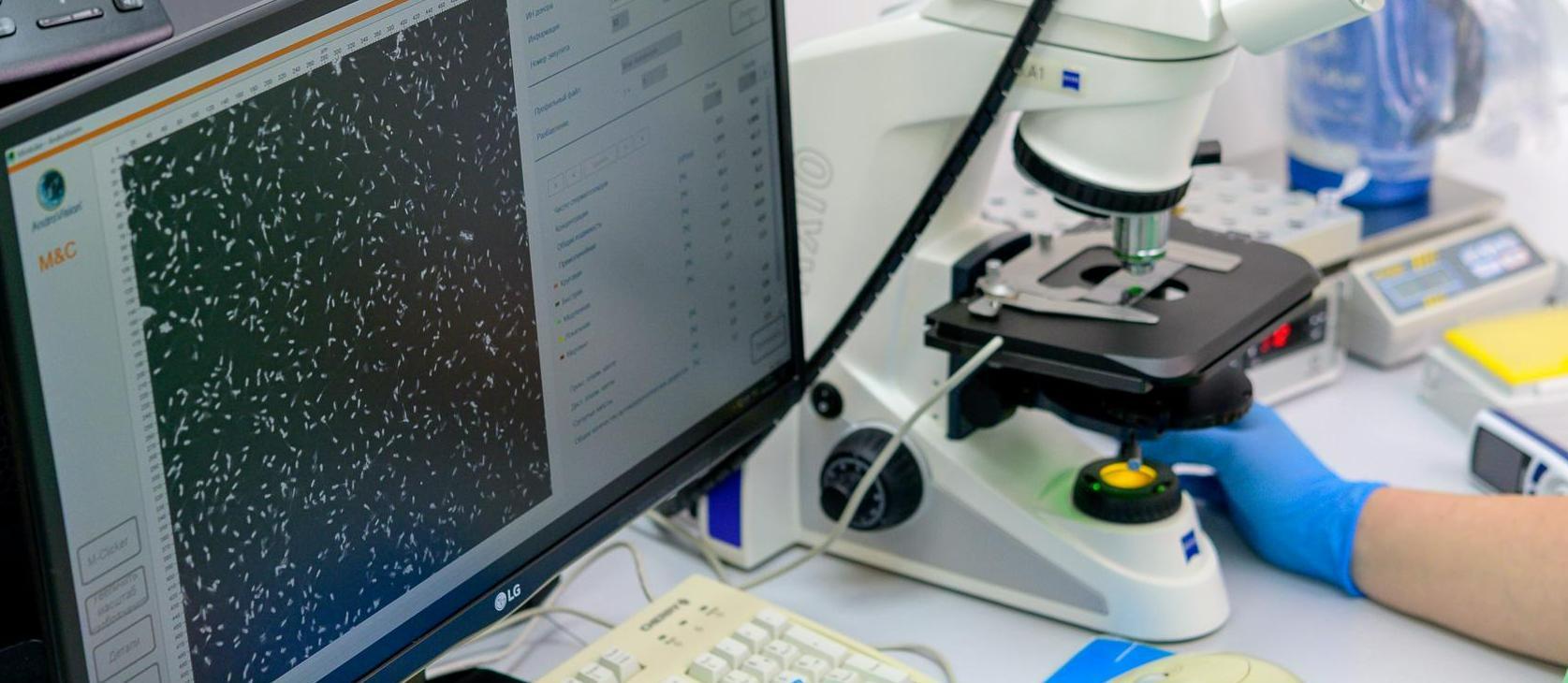 «Сибагро» внедряет современные генетические технологии в свиноводстве 