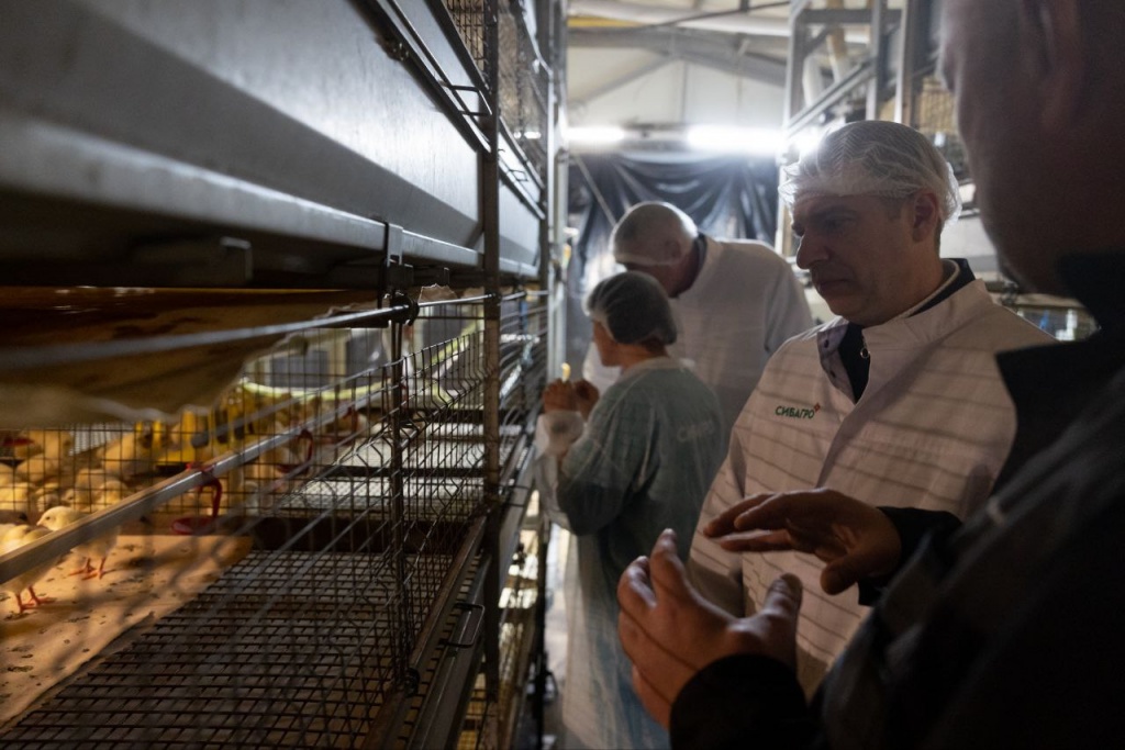 photo_2025-11-12_18-08-37.jpg photo_2025-11-12_18-08-37.jpg