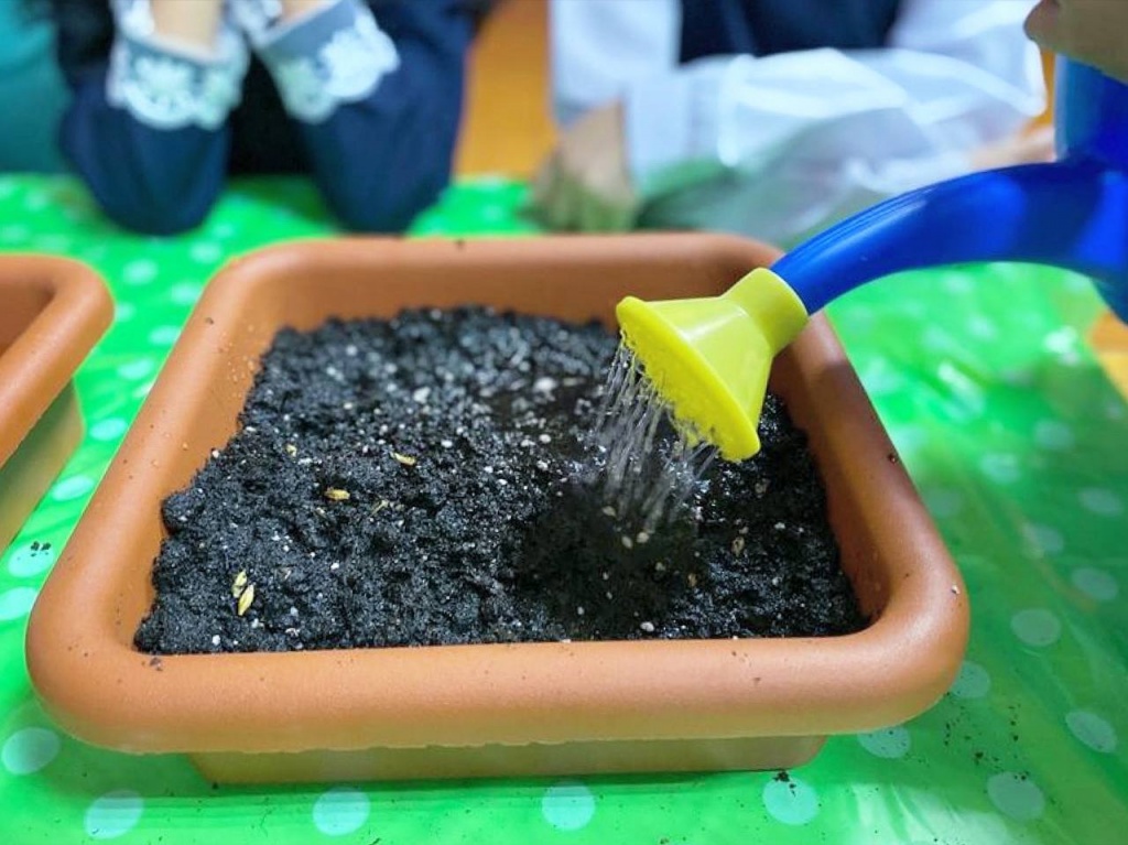 photo_2025-10-08_11-44-55.jpg photo_2025-10-08_11-44-55.jpg