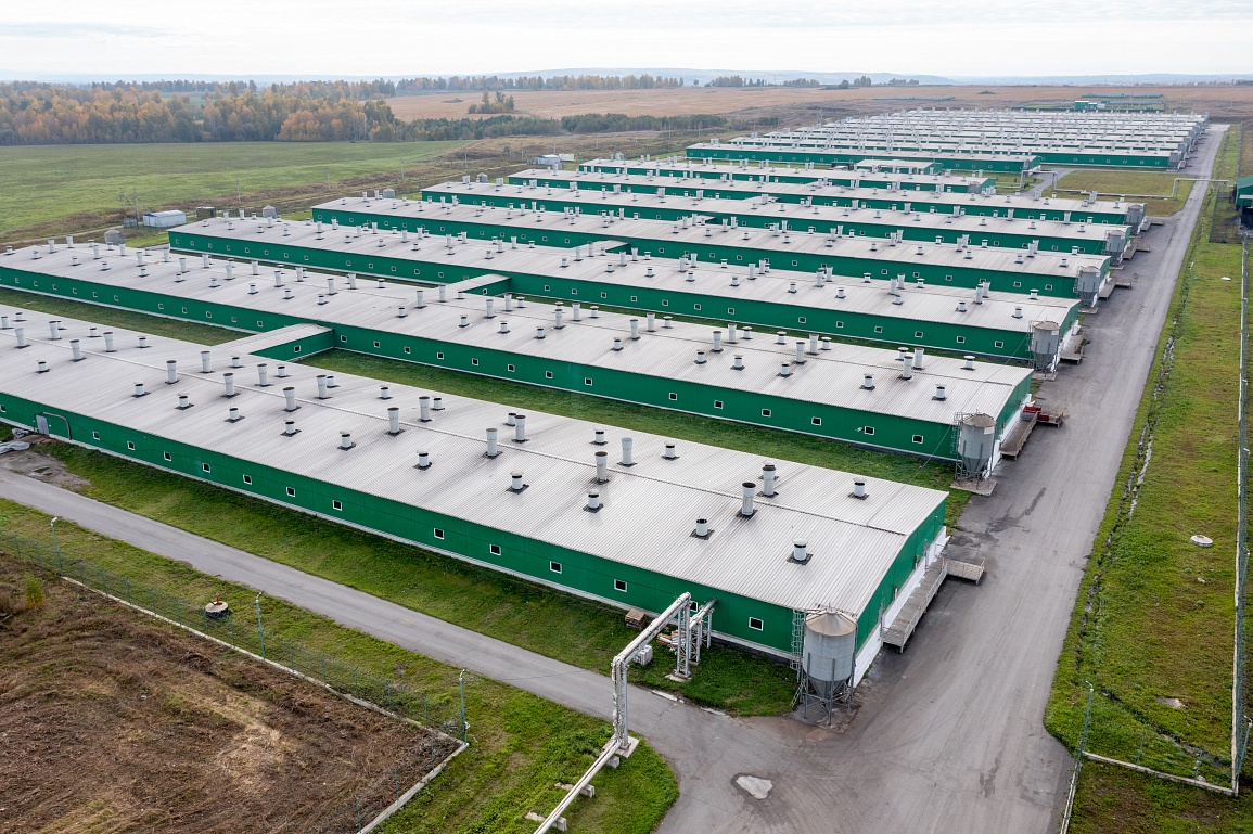 Компания «Сибагро» расширила линейку продукции на экспорт 