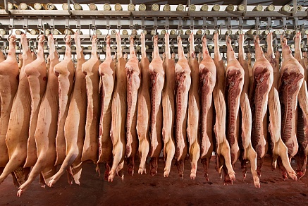 Компания «Сибагро» начала поставлять свинину в Киргизию