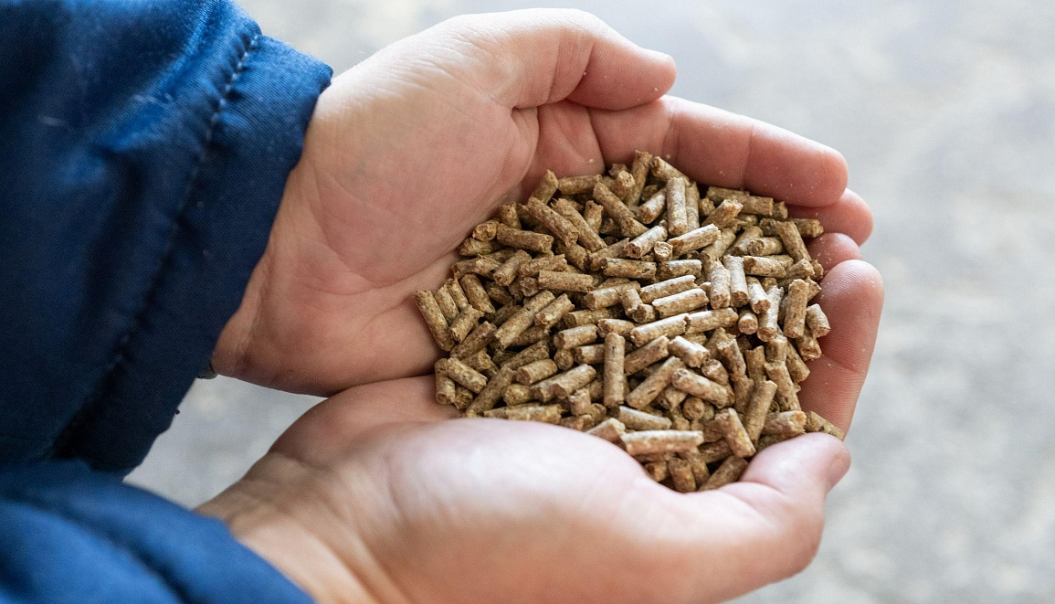 В Новосибирске «Сибагро» запускает производство фасованного комбикорма для розничной продажи