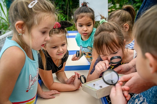 Эколаборатории в детских садах