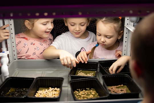 Растим урожай