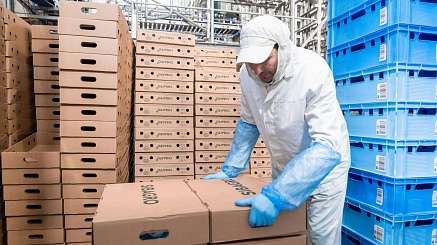 Компания «Сибагро» увеличила экспорт на 30% 