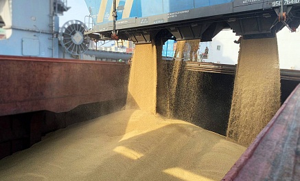 Компания «Сибагро» отправила первые 200 вагонов зерна в Китай и Корею