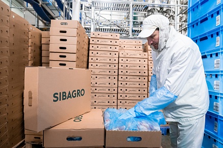 Белгородский свинокомплекс «Сибагро» возобновил поставки мясной продукции в Беларусь