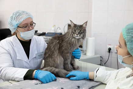 Компания «Сибагро» помогла открыть ветеринарную клинику в Томском аграрном колледже