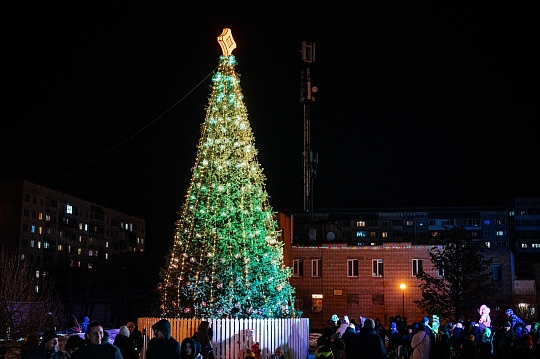 День рождения ёлки