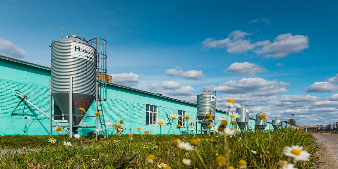Компания «Сибагро» усовершенствовала систему сепарации на свинокомплексе в Томской области