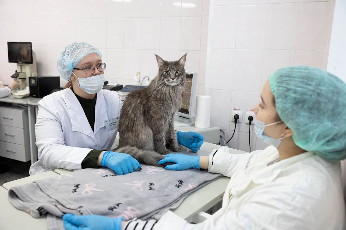 Компания «Сибагро» помогла открыть ветеринарную клинику в Томском аграрном колледже