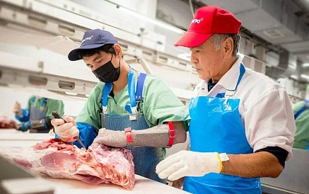  На 23% больше: Чистогорский свинокомплекс «Сибагро» увеличил выпуск мясной продукции за счет бережливых технологий